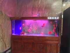 -翠清酒家(万丰路店)