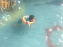 -南宫温泉水世界