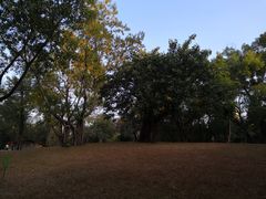 -晓港公园