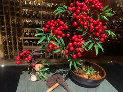 -魔厨私房菜(观音桥店)