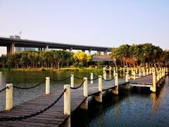 -中澳友谊花园