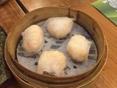 添好运点心专门店(深水埗店)-添好运点心专门店(深水埗店)