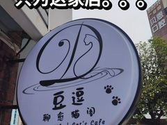 -豆逗聊愈猫阁Easy Life