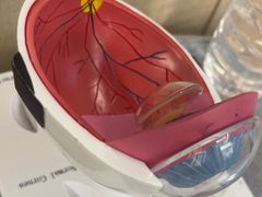 -武汉大学附属爱尔眼科医院(湖北总院)