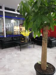 -Coo Hair salon