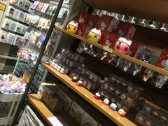 -猫咪博物馆(顶澳仔猫街店)