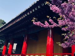 -西安市广仁寺