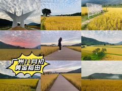 -艾米稻香小镇