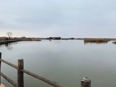 -宁波杭州湾国家湿地公园