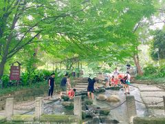 -成都市活水公园