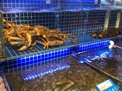 -必点海鲜·鲅鱼水饺(鞍山西道店)