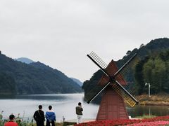-广州市石门国家森林公园
