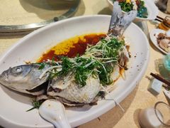 清蒸鲩鱼-五邑人家(江门店)