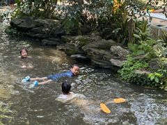 -成都市活水公园