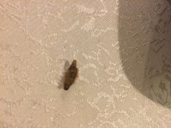 -维吾尔餐厅(宜山路店)