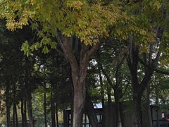 -石家庄市植物园