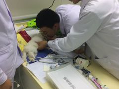 -全心全意连锁动物医院(加州店)