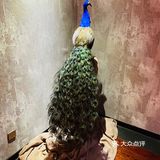 美好的同事聚会尽在红晏轩