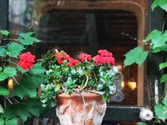 -古董花园(思南路42弄小区店)
