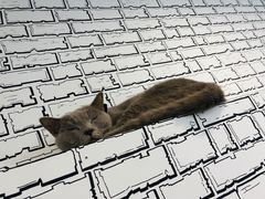 -白夜2D咖啡馆