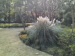 -徐家汇源景区-衡山公园