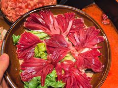 -冯校长老火锅(广州正佳广场店)