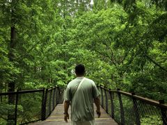 -黄海国家森林公园