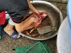 -彭秉兰豆花烤鱼(文化园店)