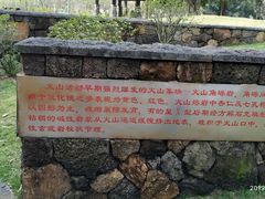 -王借岗森林公园