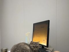 -荔康动物医院(康王北路店)