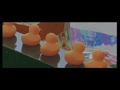 -浙江农林大学(东湖校区)
