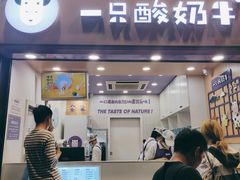 门面-一只酸奶牛(八一路店)