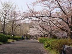 -帝京日语(春熙路旗舰校区)