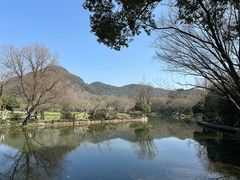 -八卦田遗址公园