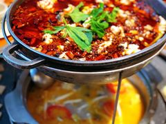 -重庆乌鱼庄·龙滋鲜(青羊大道店)