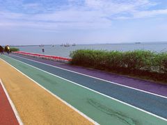 -贡湖湾湿地公园