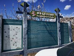 -妙峰山风景名胜区