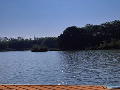 -海珠湖公园