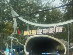 -枫花园汽车电影院(朝阳公园店)
