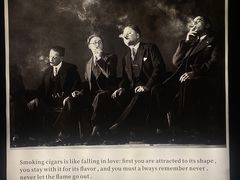 -Estaeslavida分享茄雪茄吧(亿彩购物中心店)