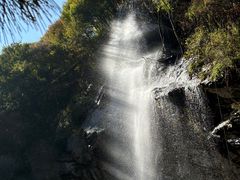 -少华山国家森林公园