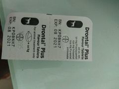 -爱侣宠医·鹦鹉专科·小型哺乳类·异宠专科(灵石路店)