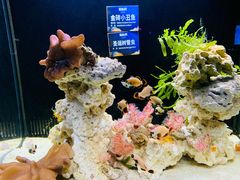 -沈阳海洋探索中心