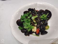 -高老庄新家宴(北斗星广场店)