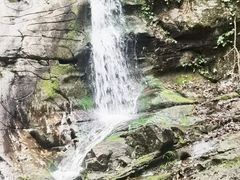 -江西阳明山国家森林公园