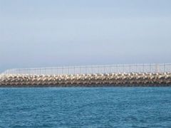 -渡海小渔村.老辈日照菜