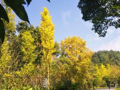 -阿哈湖国家湿地公园