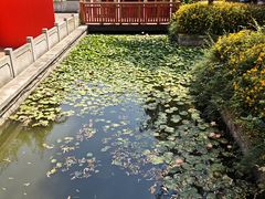 -芜湖方特东方神画