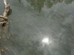 -贵阳市花溪国家城市湿地公园