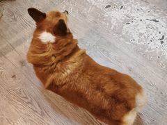-小时光咖啡馆(北锣鼓巷店)
